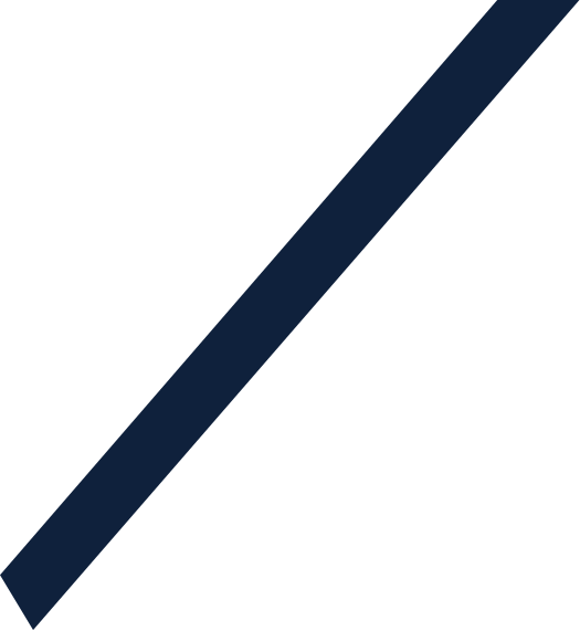 Decorative circular graphic on Qona Sacco page header
